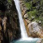 Murmeltier Am Klippitztoerl * Klippitztorl