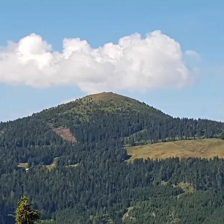 Murmeltier Am Klippitztoerl