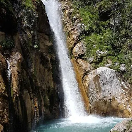 Murmeltier Am Klippitztoerl * Klippitztorl