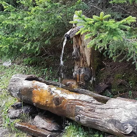 アパート Murmeltier Am Klippitztoerl