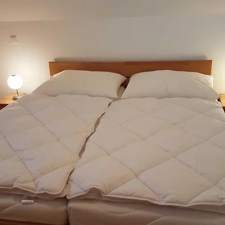 Murmeltier Am Klippitztoerl アパート *