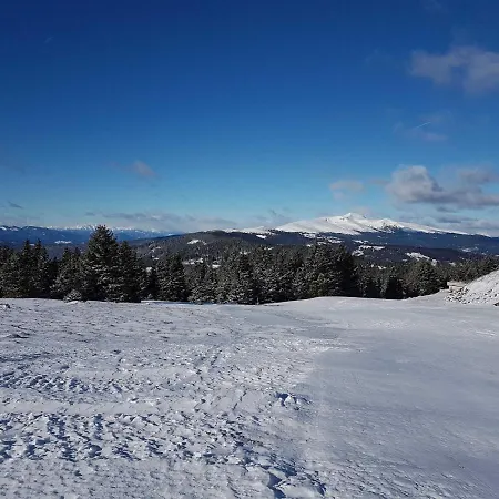 Murmeltier Am Klippitztoerl *
