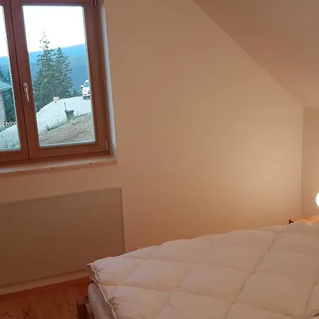 Murmeltier Am Klippitztoerl Klippitztorl