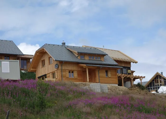 Murmeltier Am Klippitztoerl *