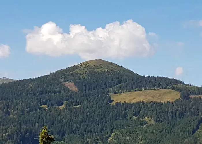 Murmeltier Am Klippitztoerl