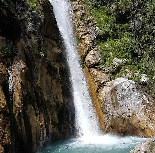 Murmeltier Am Klippitztoerl * Klippitztorl