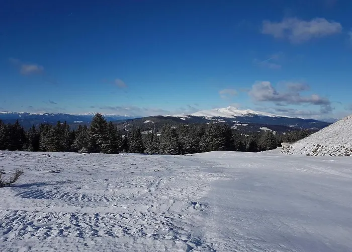 Murmeltier Am Klippitztoerl *