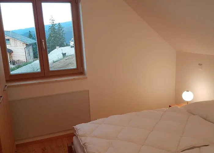 Murmeltier Am Klippitztoerl Klippitztorl